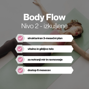 Body Flow | nivo 2 - izkušene